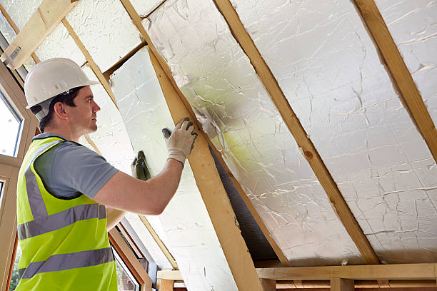 Best Specialized Insulation Services in Lake Forest Park, WA