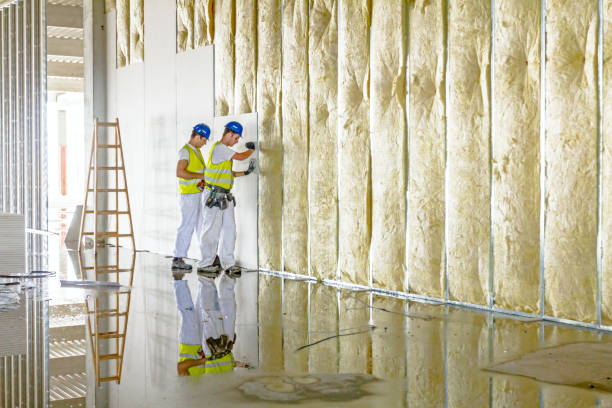 Best Blown-in Insulation in Lake Forest Park, WA